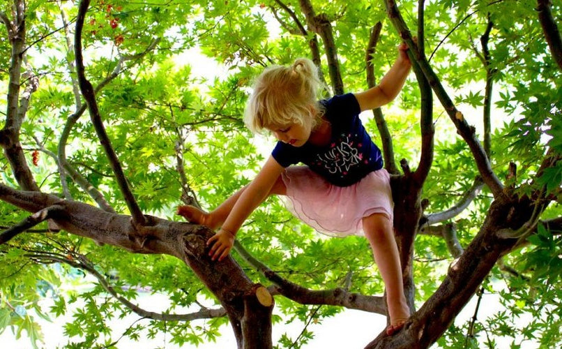 Get Outside for Immune Health