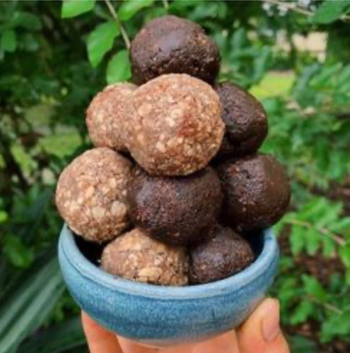 Elderberry Power Bites - Two Ways!