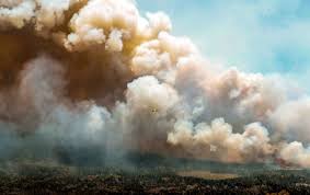 SMOKY SUMMER SKIES